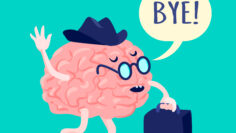 Brain In Hat Illustration